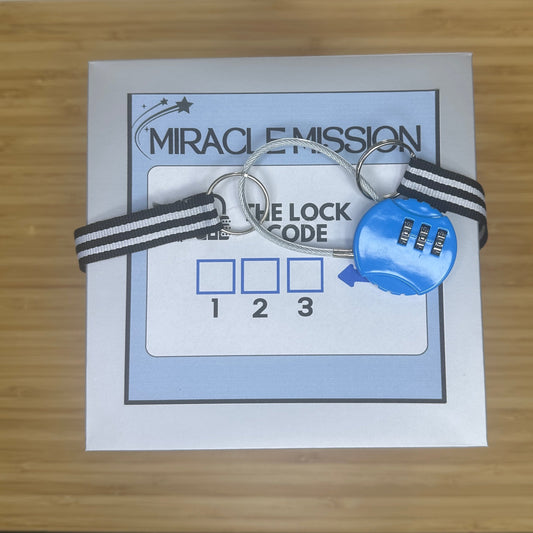 Miracle Mission - Escape Box Only/Easy Level